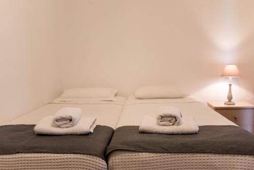 two beds with cats on towels on them at Platanorema in Agios Ioannis Prodromos