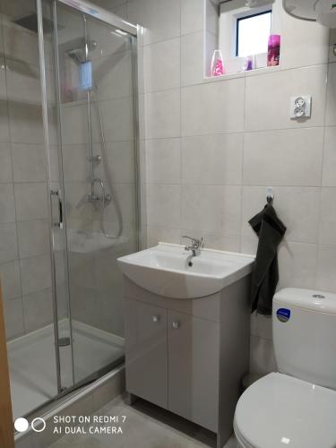 a bathroom with a shower and a sink and a toilet at Domki na lipowej in Pastwiska