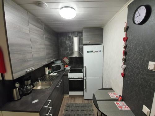 Кухня или мини-кухня в Apartment Neitamo44
