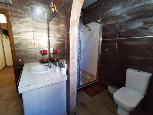 a bathroom with a toilet and a sink and a shower at Apartamentos Alma y Montaña in Cómpeta