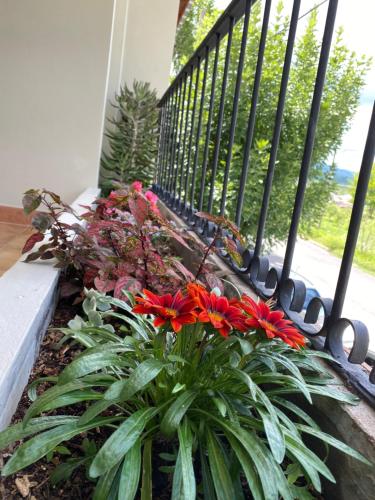 un porche con un ramo de flores rojas y una valla en Like Home en Salta