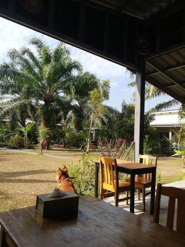 Κήπος έξω από το Aathid Garden Khao Lak