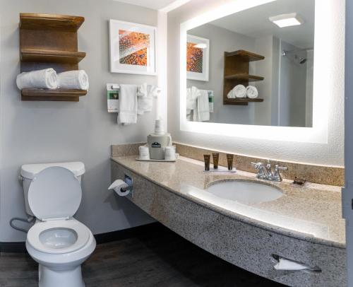 a bathroom with a sink and a toilet and a mirror at Wingate by Wyndham - DFW North in Irving