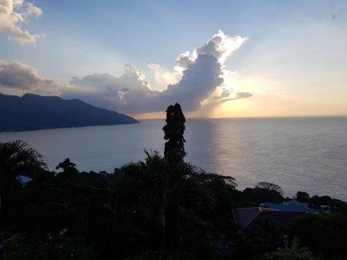 a sunset over the water with a tree in the foreground at Chepsted Chalets in Glacis