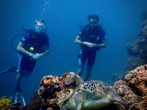 a group of three people in the water with a turtle at Alegria Dive Resort in Alegria