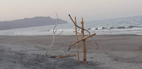 a stick on the beach with the ocean in the background at Beach Belle in Bowentown