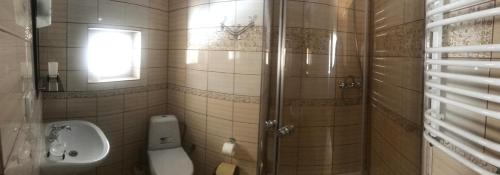 La salle de bains est pourvue de toilettes, d'un lavabo et d'une douche. dans l'établissement Котедж Relax Yaremche, à Yaremtche