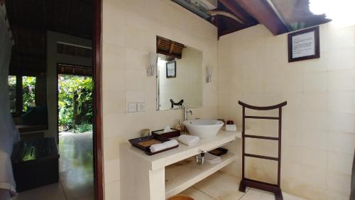 
a bathroom with a sink, mirror, and toilet at Villa Pantulan Bali in Ubud
