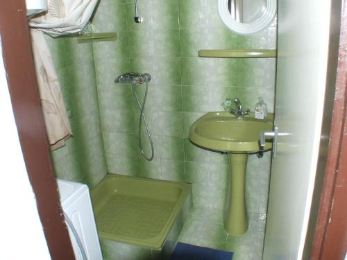 a green bathroom with a sink and a shower at Katalin nyaraló in Balatonkeresztúr