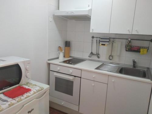 uma pequena cozinha com um lavatório e um micro-ondas em Il Gabbiano em Ameglia