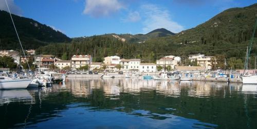 a bunch of boats are docked in a harbor at Villa Martha in Benitses