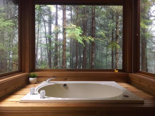 The Sanctuary Retreat & Spa في Salt Spring Island: حوض استحمام في غرفة مع نافذة كبيرة