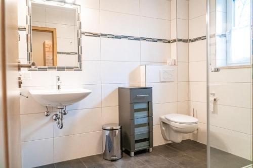 La salle de bains est pourvue d'un lavabo et de toilettes. dans l'établissement Pension Sengmüller, à Buchbach
