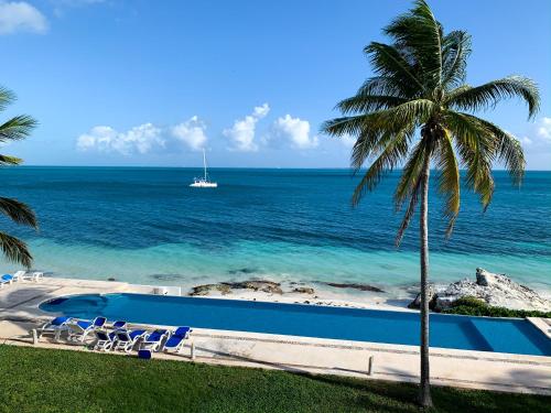una piscina con una palmera y el océano en Casa Playa Tortugas - CANCUN Oceanfront Villa, en Cancún