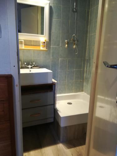 une salle de bain avec un lavabo et une baignoire dans l'établissement La Tour de Seythenex, à Seythenex