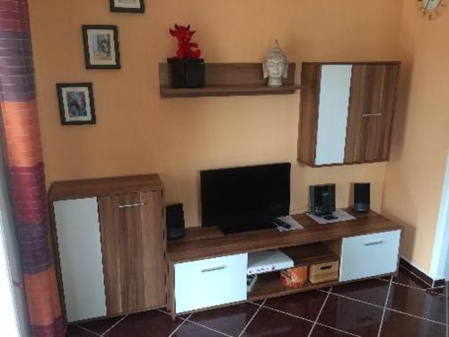 a living room with a flat screen tv on a table at Ferienwohnungen Weber in Friedrichsbrunn