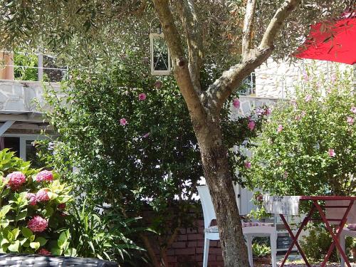 a tree with pink flowers next to a white chair at B&B Piè del Castello in Levanto