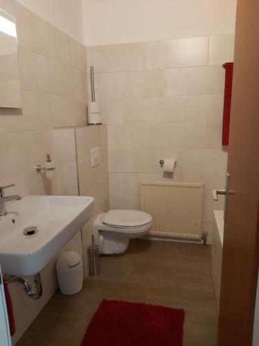 a bathroom with a white sink and a toilet at Haus Fernblick in Birkfeld
