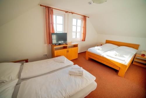 a room with two beds and a television in it at Slovácký dvůr s.r.o. in Ostrožská Nová Ves