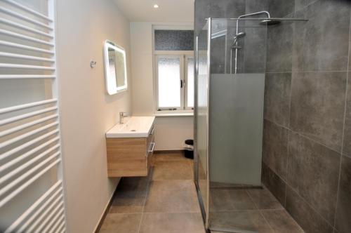 a bathroom with a shower and a sink at Zaras Studios in Zandvoort
