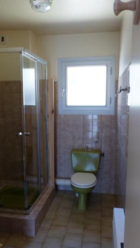 La salle de bains est pourvue d'une douche et de toilettes vertes. dans l'établissement PIED A TERRE 4, à Amélie-les-Bains-Palalda