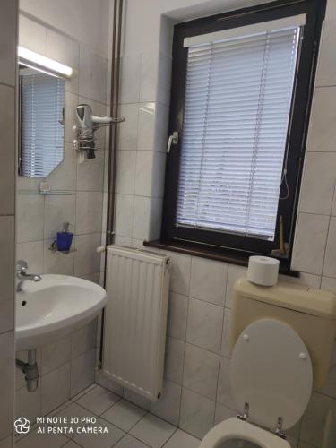 a small bathroom with a toilet and a sink at Guest House Gostišče Gačnk V Logu in Cerkno