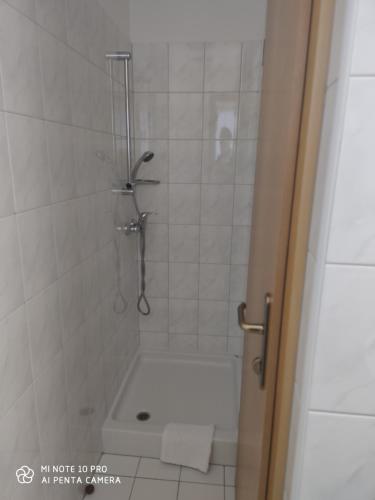 a bathroom with a shower with a bath tub at Guest House Gostišče Gačnk V Logu in Cerkno