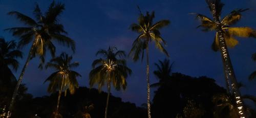 The Forty Eight Resort Candidasaにある庭