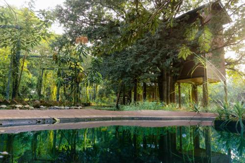 a garden with a pool of water and trees at La Pentera in Hambegamuwa