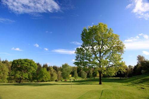 a tree on a golf course with a green at Bowood Hotel, Spa, and Golf Resort in Chippenham