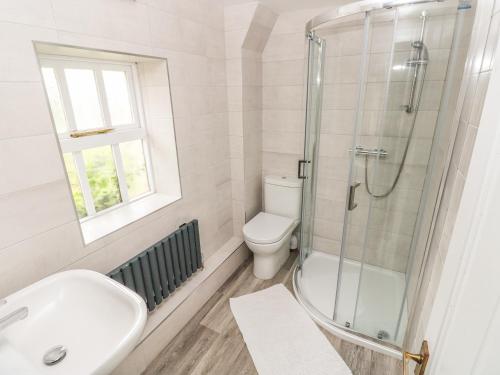 a bathroom with a toilet sink and a shower at Foxglove Cottage in Haverfordwest
