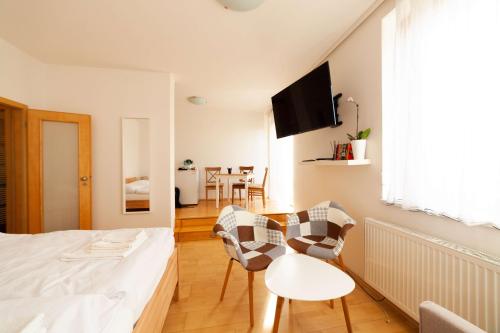 TV a/nebo společenská místnost v ubytování Vitkov Park Apartment