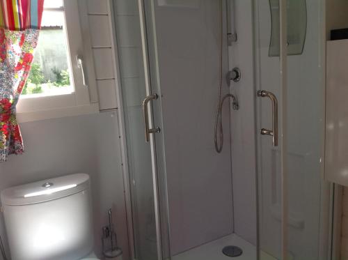 a white bathroom with a shower and a toilet at la roulotte arc-en-ciel in Villards-dʼHéria