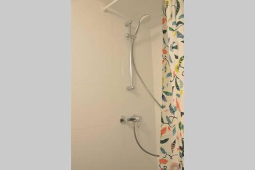 eine Dusche im Bad mit Duschvorhang in der Unterkunft Top Studio Marolles in Brüssel