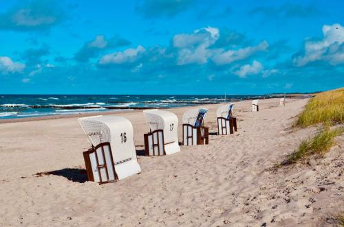 a row of chairs sitting on a beach at Buhne 10 App Nr 26 max 2 Pers in Dierhagen