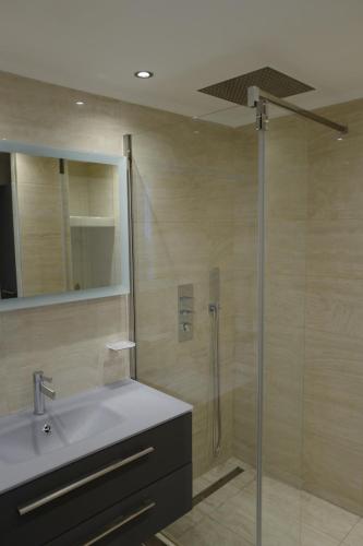 une salle de bain avec une douche en verre et un lavabo dans l'établissement Cannes - Croisette - Palais des Festivals, à Cannes