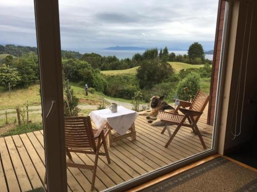 a dog sitting on a porch with a table and chairs at Casa Exclusiva en Puerto Octay - Espectacular Vista in Puerto Octay