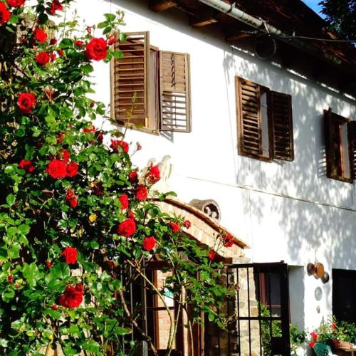 Uma casa branca com rosas vermelhas à frente. em LA Amadeus & Monica em Miniş