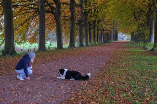 a young child playing with a dog in the woods at Hasbania Vakantiewoning in Gingelom