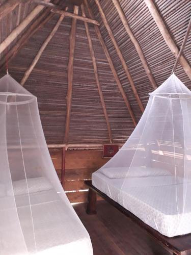 a room with two beds in a attic at Hostal Pachamama in Isla de Cañas
