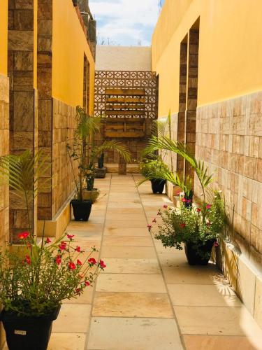 Κήπος έξω από το Jardim dos Orixás