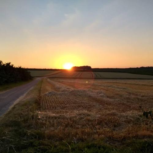 a field with the sunset in the background at Hasbania Vakantiewoning in Gingelom