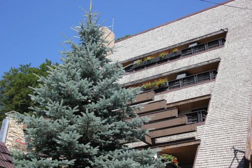 Το κτήριο όπου στεγάζεται  το θέρετρο