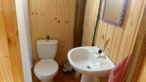 La petite salle de bains est pourvue de toilettes et d'un lavabo. dans l'établissement Cabañas El Caribe - Bonaire, à San Luis