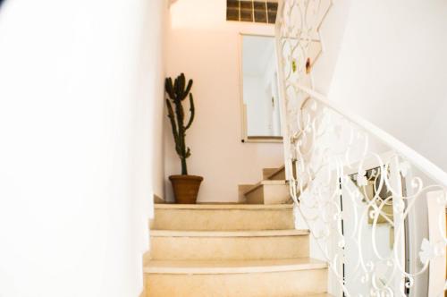 a staircase in a house with a cactus at Cosy Triplex in La Marsa in La Marsa
