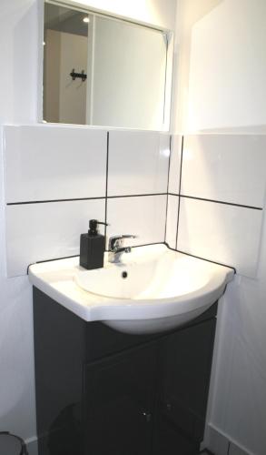 une salle de bain avec un lavabo blanc et un miroir dans l'établissement Rez de Jardin Terrasse Literie Haut de gamme Proche Gare et Hyper Centre, à Quimper