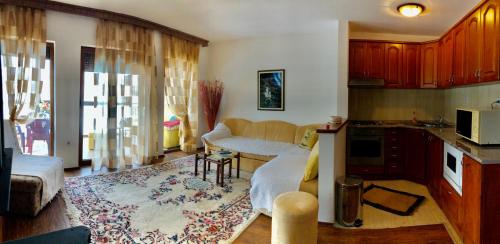un soggiorno con divano e cucina di Zabljak centar a Žabljak