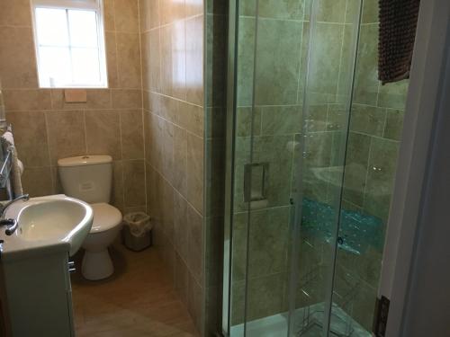 a bathroom with a shower and a toilet and a sink at Lemondrop Cottage in Southburgh