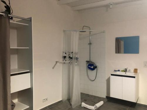 een badkamer met een douche en een wastafel bij Belcourt in Baie-Mahault