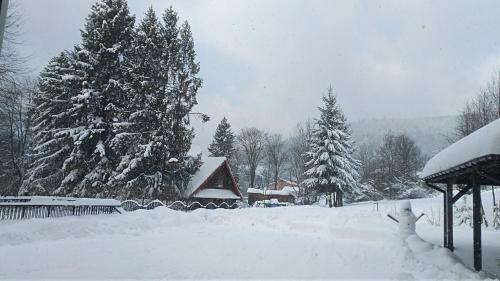 a yard covered in snow with trees and a cabin at Dom "Honorat", Kamianna 70, 33-336 in Kamianna